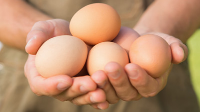 Nestlé to source only cage-free eggs by 2025