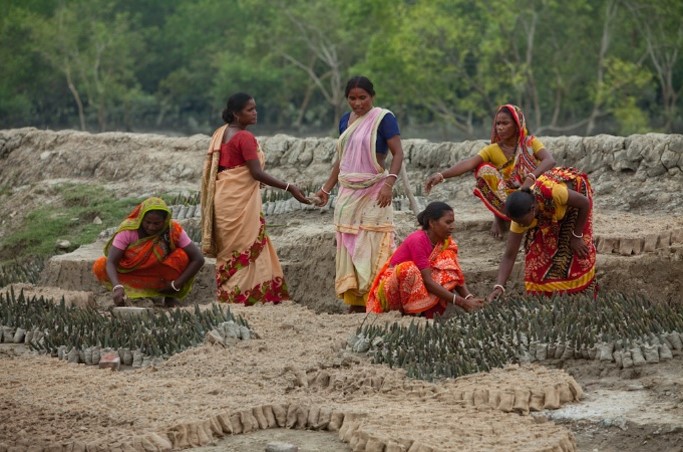 Launch of a New Livelihoods Carbon Fund