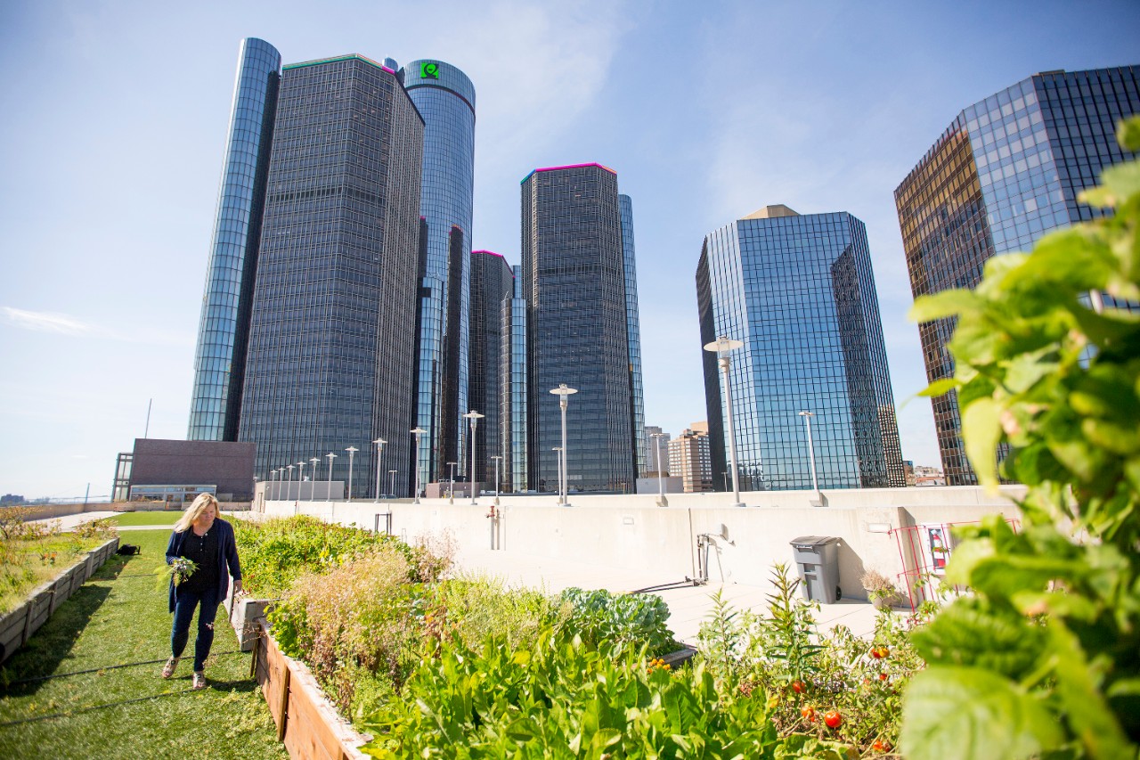 Urban Gardens Grow Detroit Communities