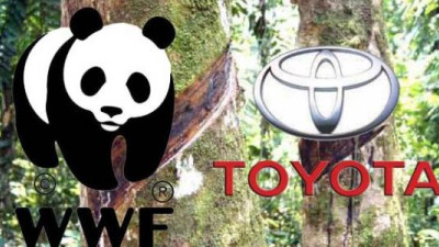 WWF and Toyota Form Global Partnership, Join Forces on Living Asian Forest Project and Climate Change