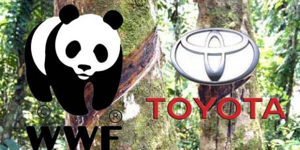 WWF and Toyota Form Global Partnership, Join Forces on Living Asian Forest Project and Climate Change