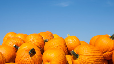 Hubbub & Unilever Partner To Tackle “Frightful” Pumpkin Waste