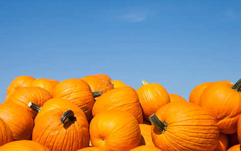 Hubbub & Unilever Partner To Tackle “Frightful” Pumpkin Waste