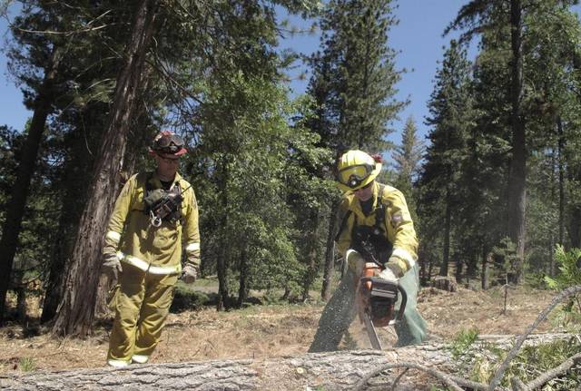 How a Beer Maker And a Bottled Water Company Want to Save Sierra Forests