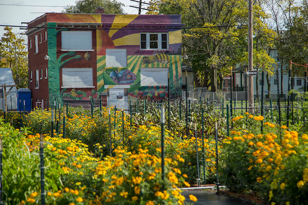 Business Leaders Propel Sustainable Urban Agrihood in Detroit