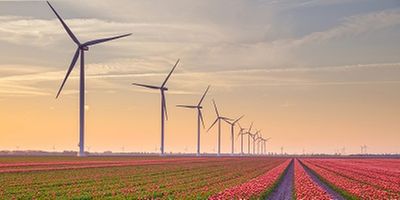 HPE Commits to 100% Renewable Energy with RE100