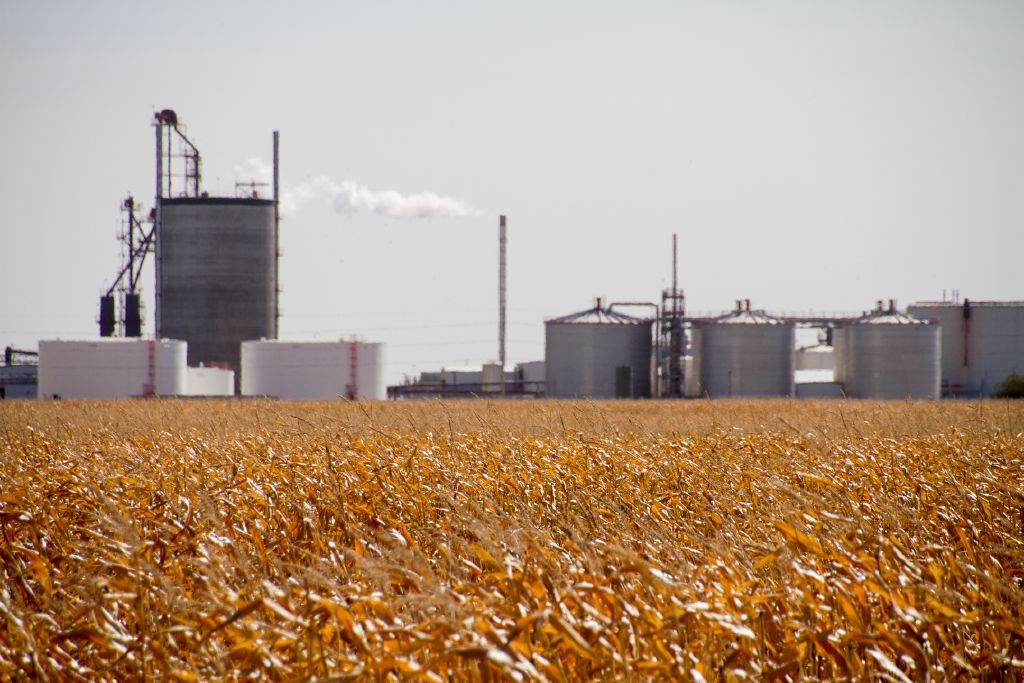 New enzyme cuts chemical use at ethanol plants by more than 70%