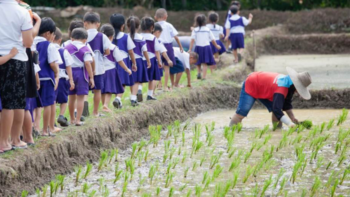 Mars Food Partners with the Sustainable Rice Platform