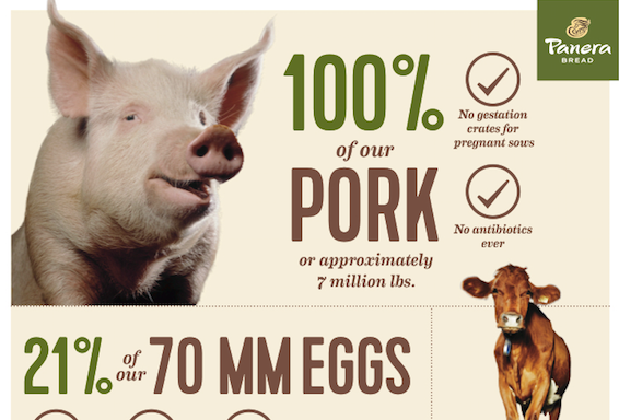 Panera Bread® Shares Animal Welfare Progress and Makes New Cage-Free Commitment