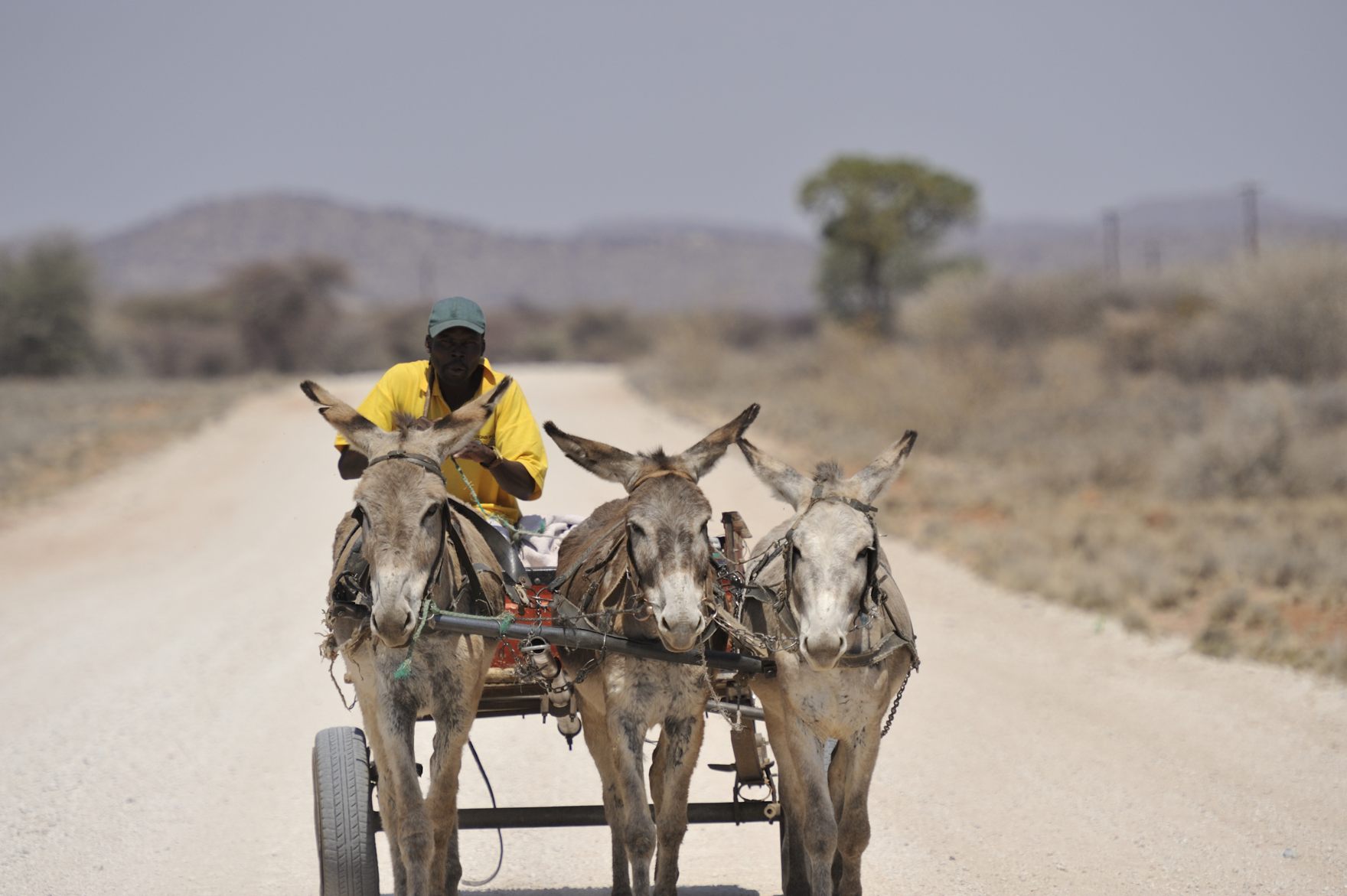 REI Adventures Presents Namibia’s Conservation Guards with Sustainable Tourism Award