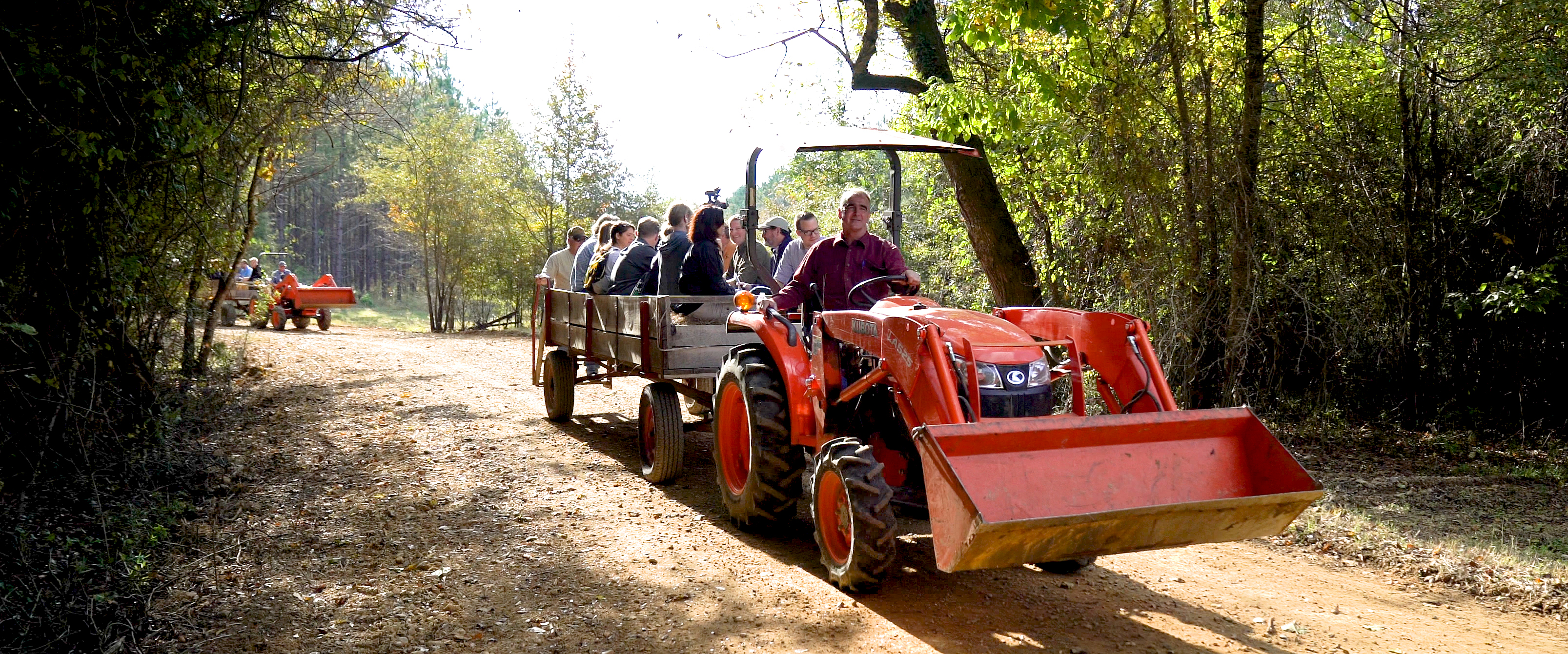 Giving Consumers a Behind-the-Scenes Look at Sustainable Forestry