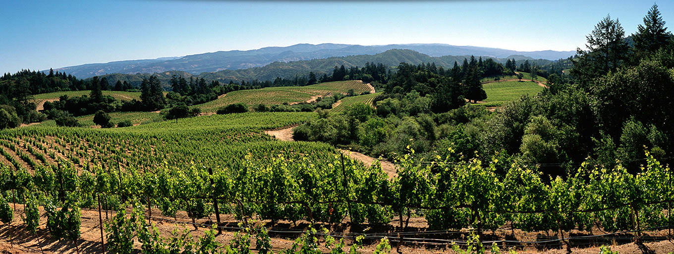 Grounded Summit: A Platform for Climate Solutions in California’s Wine Country