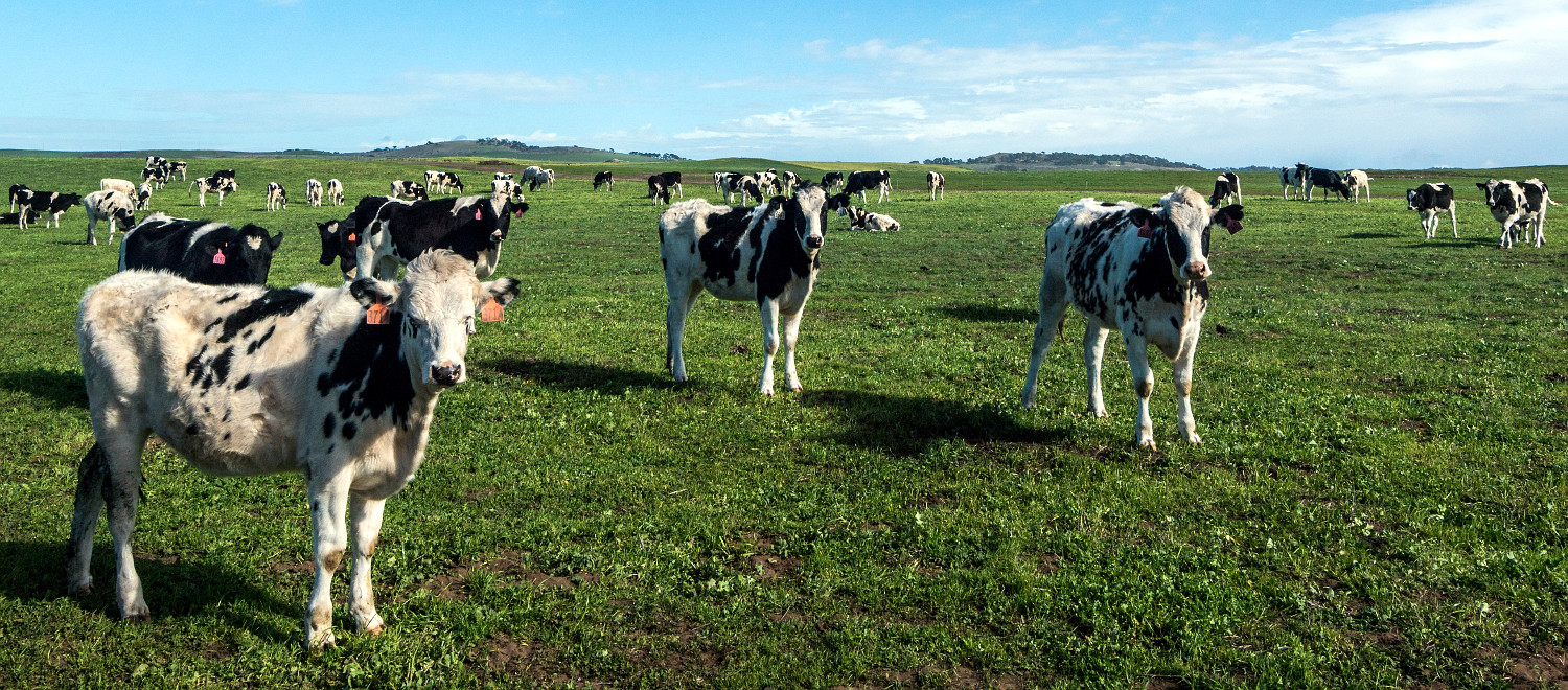 Demonstrating a Seismic Shift in Dairy Sustainability Collaboration