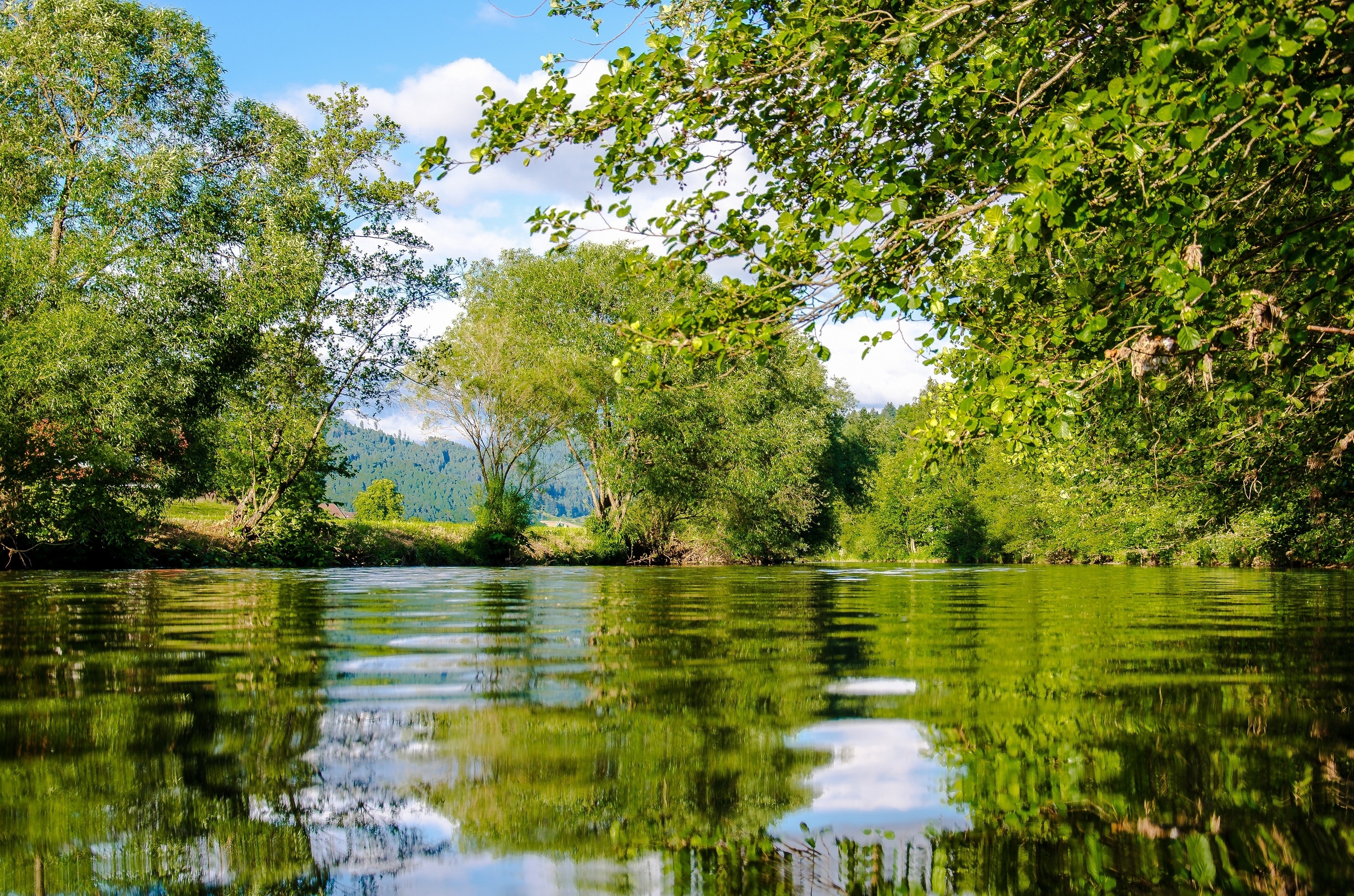 Nestlé Waters North America Commits Additional $2 Million to its Ice Mountain Environmental Stewardship Fund