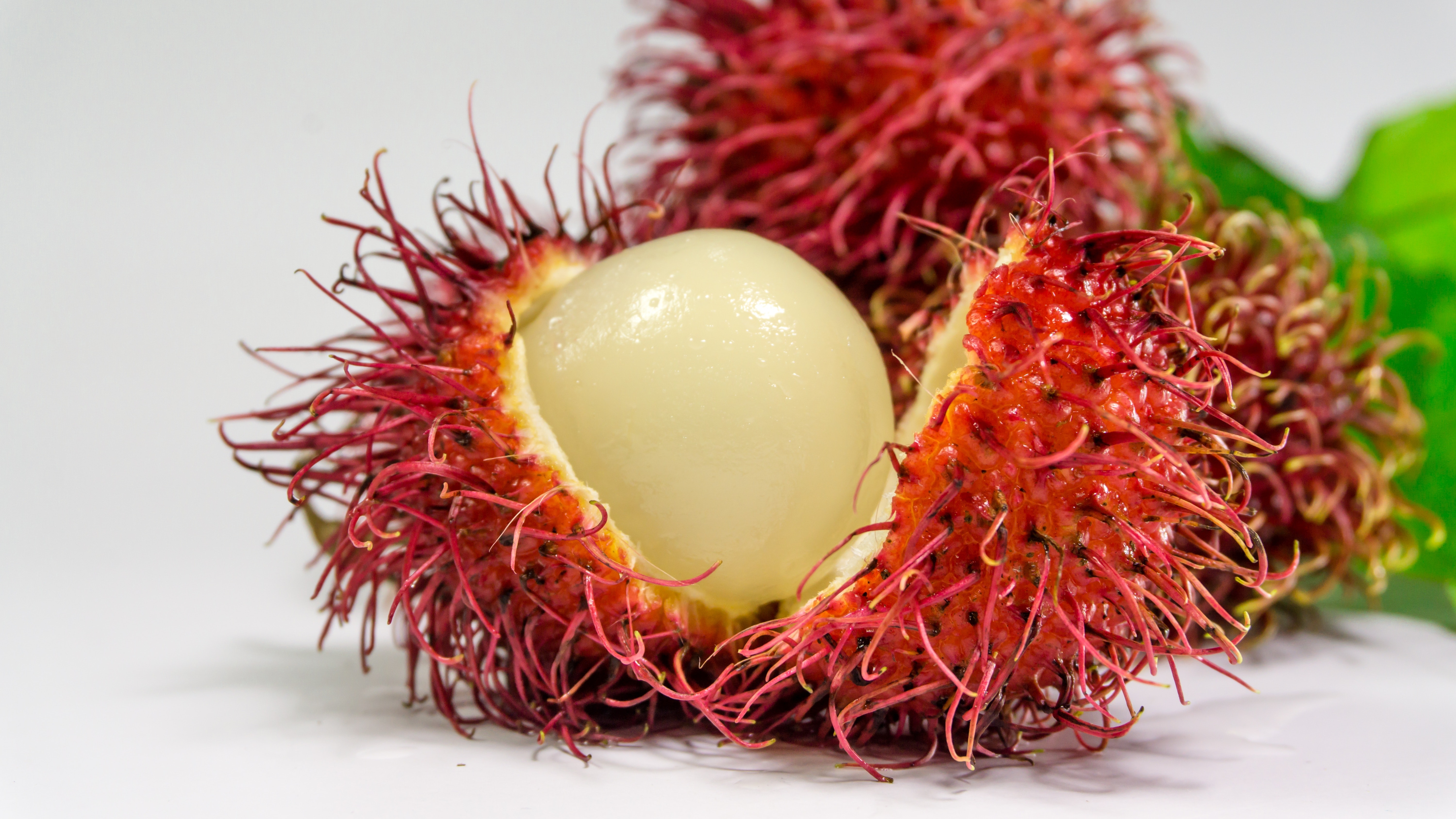 Rambutan Program: BASF Launches Bioactives from Responsible Beauty Program