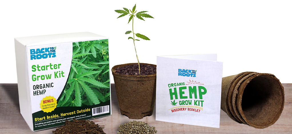 Back to the Roots Reintroduces Misunderstood Hemp to Home Growers