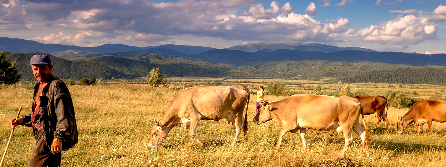 Timberland, Wrangler, VF Foundation Support Regenerative Ranching Research