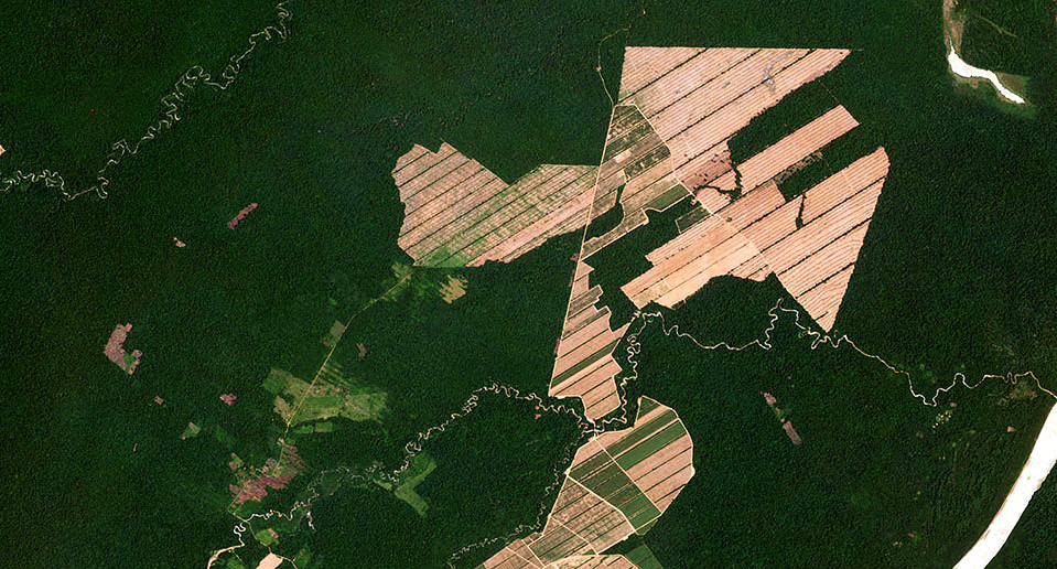 See Change: Real-Time Visibility Into Land Changes Key to Ending Deforestation