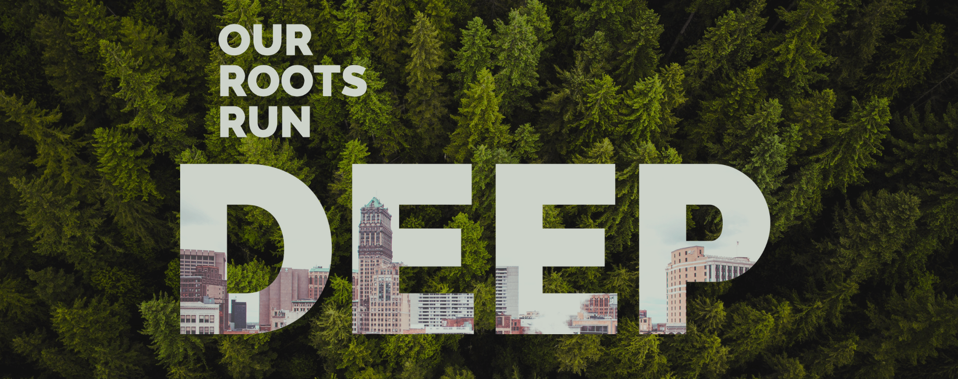 American Forests Strives to Advance Tree Equity in Detroit