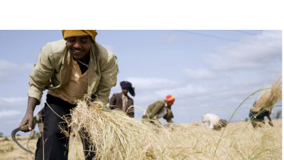 Meet the Team Re-Imagining Food Security in Ethiopia