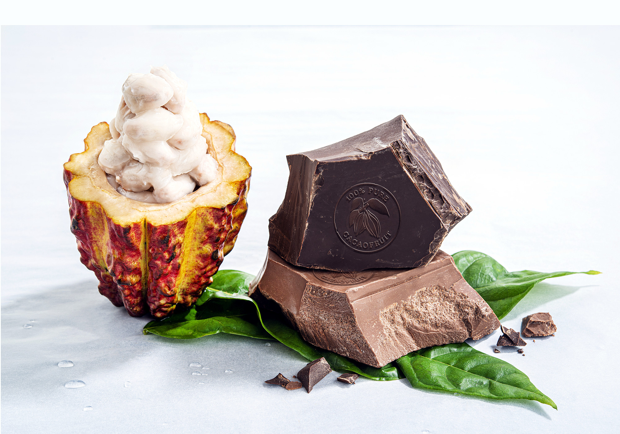 New Chocolate, Ingredients from Barry Callebaut Utilize Whole Cacao Fruit