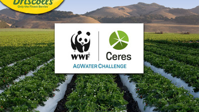 Driscoll's Joins the Ceres-WWF AgWater Challenge