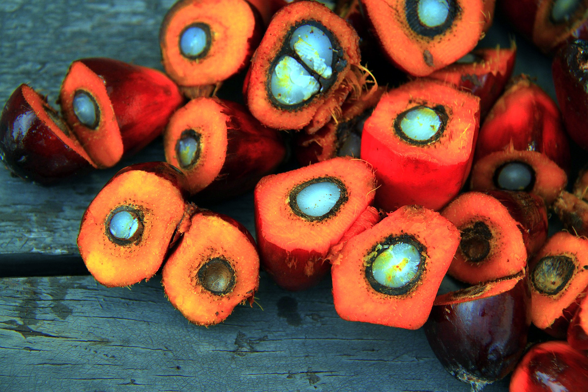 New Tool to Help Companies Zero in on Sources of Palm Oil Deforestation