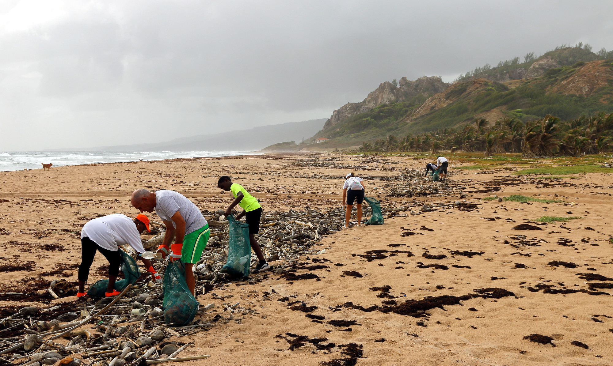 Dow: Intent on #PullingOurWeight Around Cleaning Up Plastic Waste