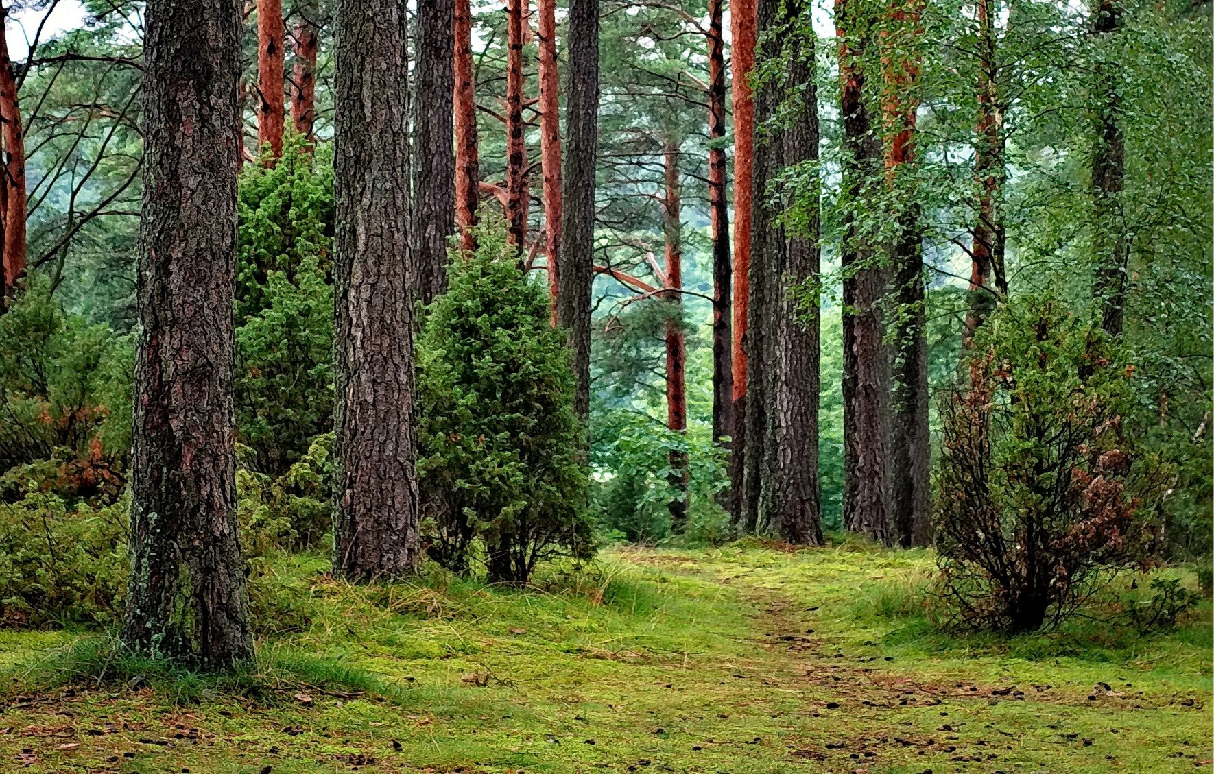 Mastercard and Partners Launch Priceless Planet Coalition to Act on Climate Change