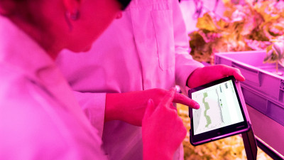Microsoft, Danone Partner to Advance AI-Based Sustainable Food Solutions
