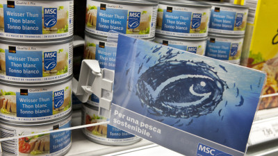 MSC Report Shows Sustainable Tuna Success as Global Demand Soars