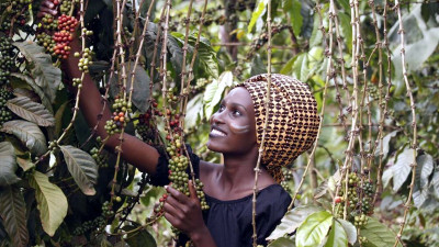 Fairtrade America Calls for Democratization of Data Across Supply Chains