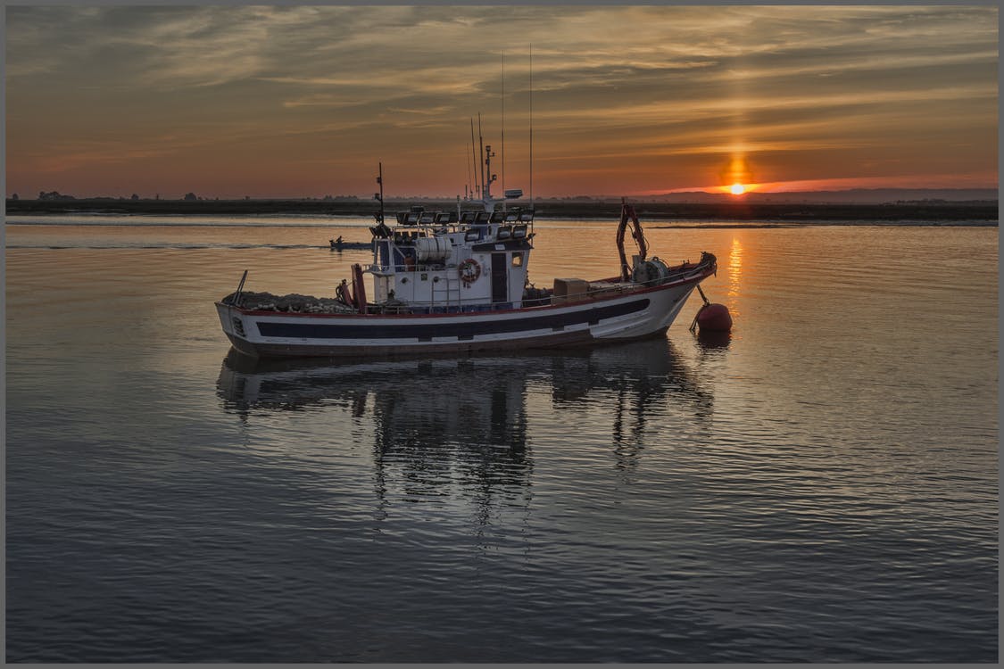 Bumble Bee Foods and SAP Create Blockchain to Track Fresh Fish from Ocean to Table