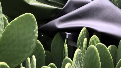 Trending: Meet the Innovators Hell-Bent for Plant-Based Leather