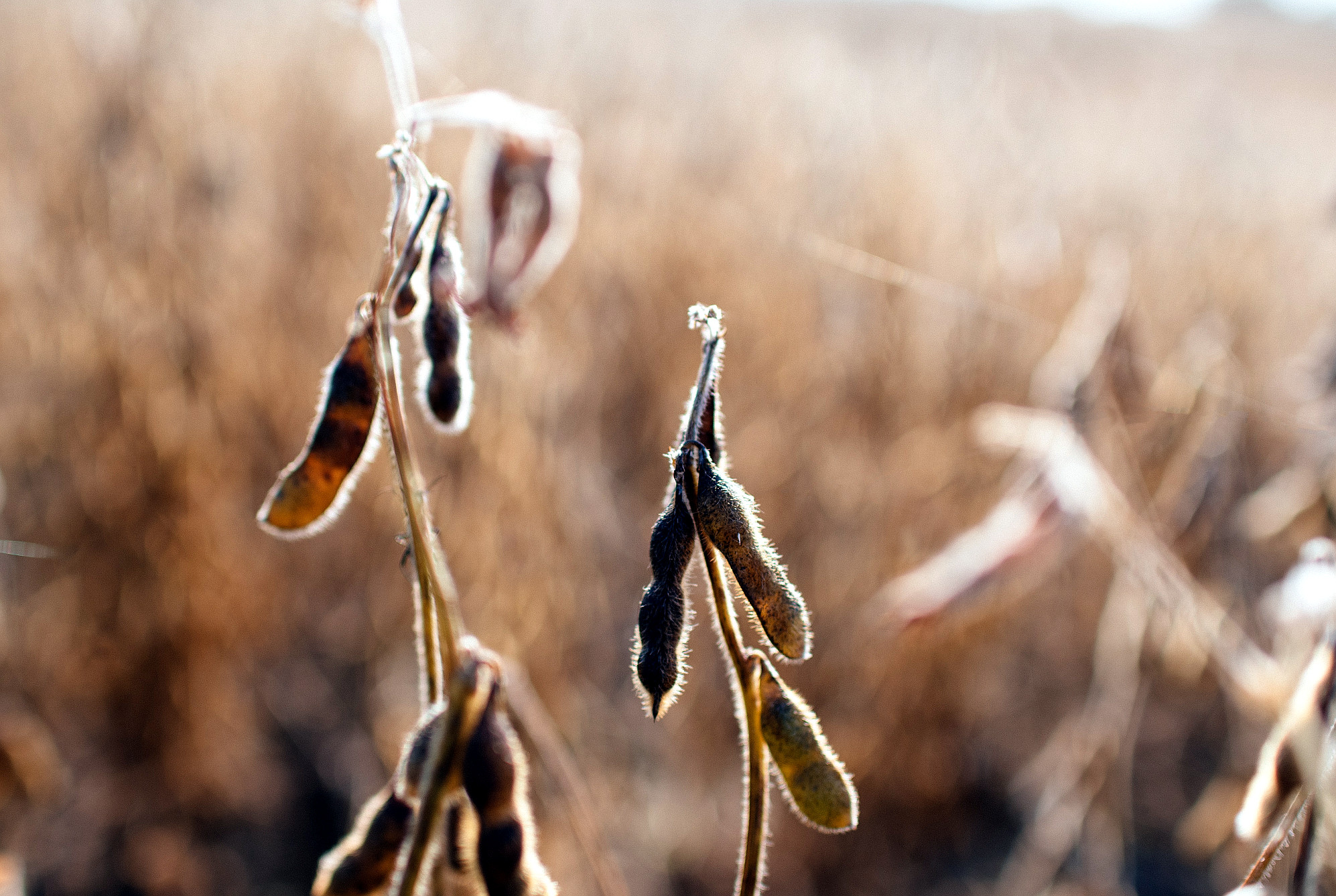 Strengthening Collaboration Between Farmers and Landowners Key to Improving Conservation