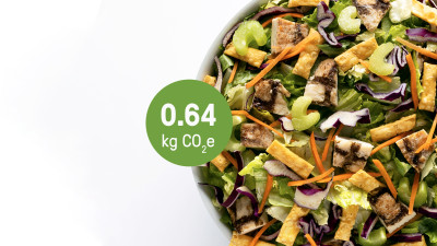 Enabling Climate-Smart Eating: Lessons from Our Carbon-Labeling Journey