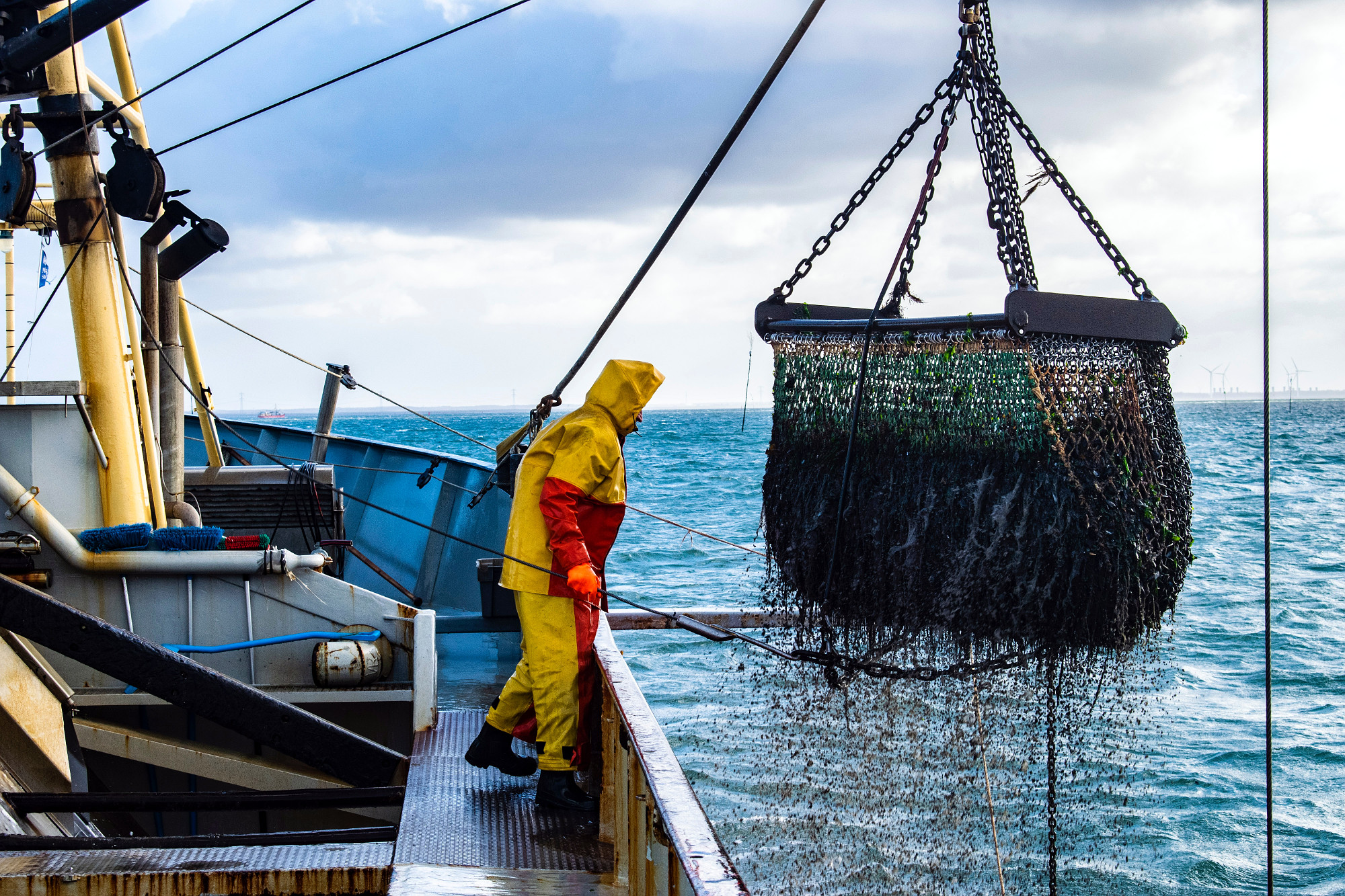 MSC: Progress Has Been Made in Sustainable Fishing, But Change Needs to Happen Faster