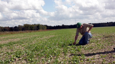 Cover Crops Helped Farmers Thrive During Difficult 2019 Weather