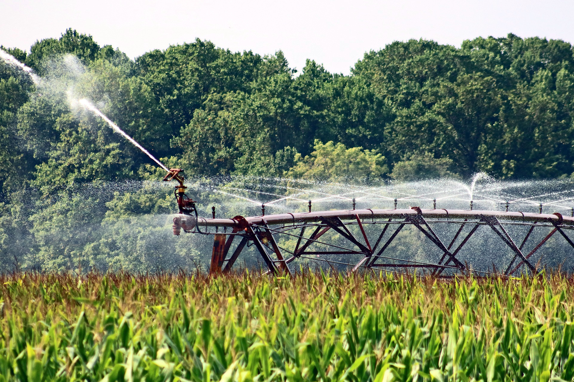 Scarcity Breeding Increasingly Innovative Water-Saving Strategies in Agriculture