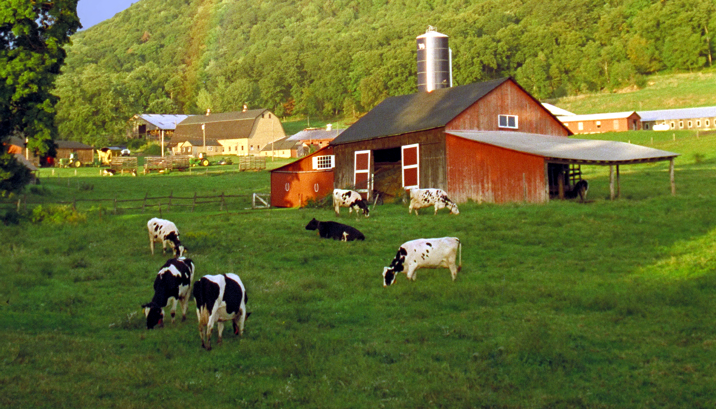 Repurposing Farm-Based Food Waste Provides Pathway to a Healthier Planet