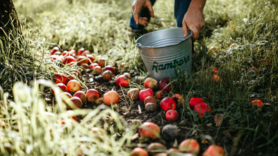 This Cidery Is Restoring Biodiversity While Reviving Traditional Cider-Making