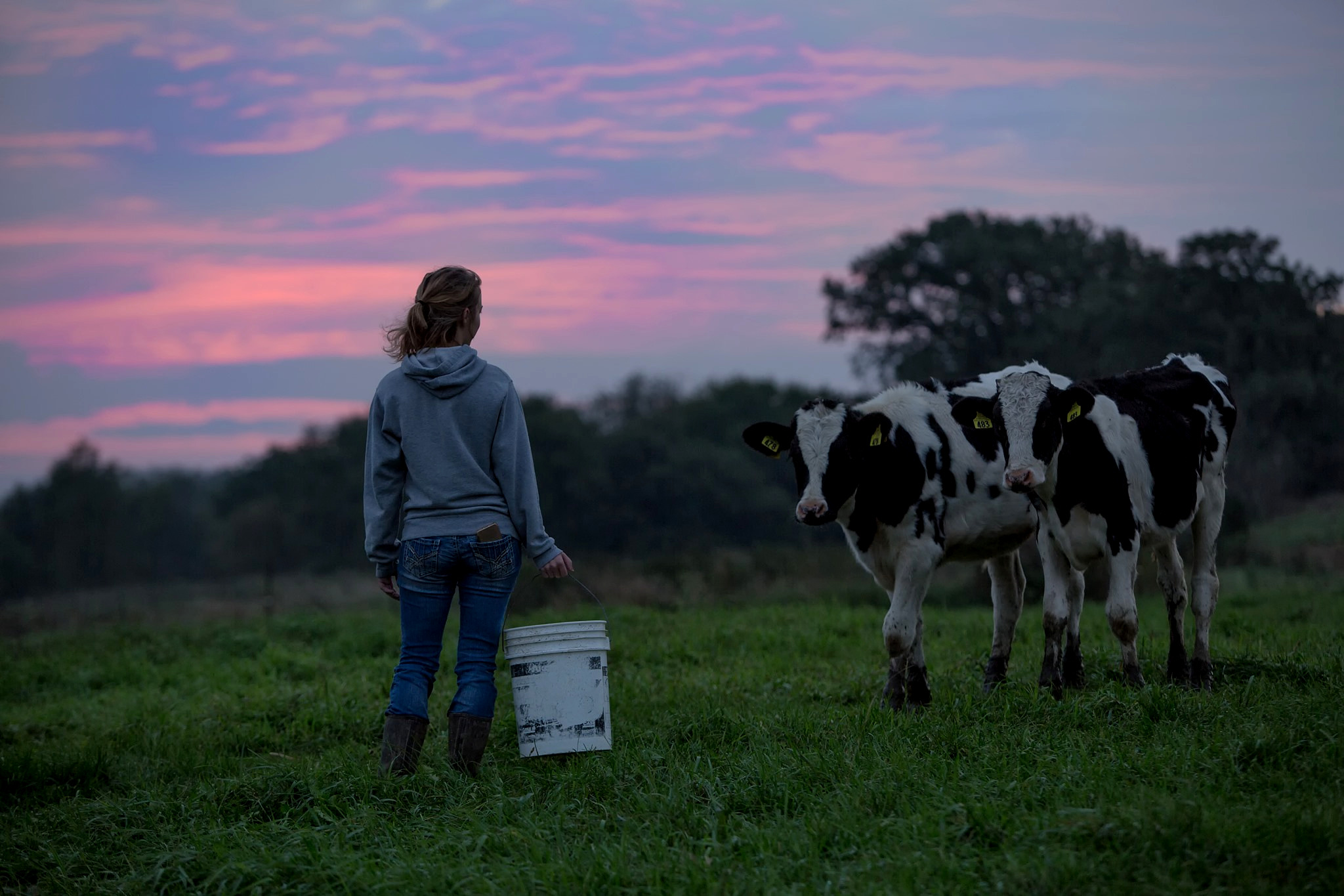 Starbucks, Unilever, Dairy Farmers of America on Their Food-Waste-to-Energy Alliance