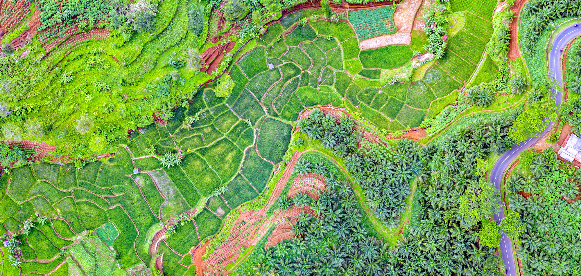 New Tool Keeps Sky-High Eye on Sustainable Agriculture’s geoFootprint