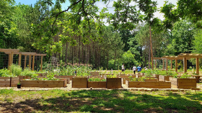 Atlanta’s Food Forest Pioneering Potential Solution to Urban Food Deserts