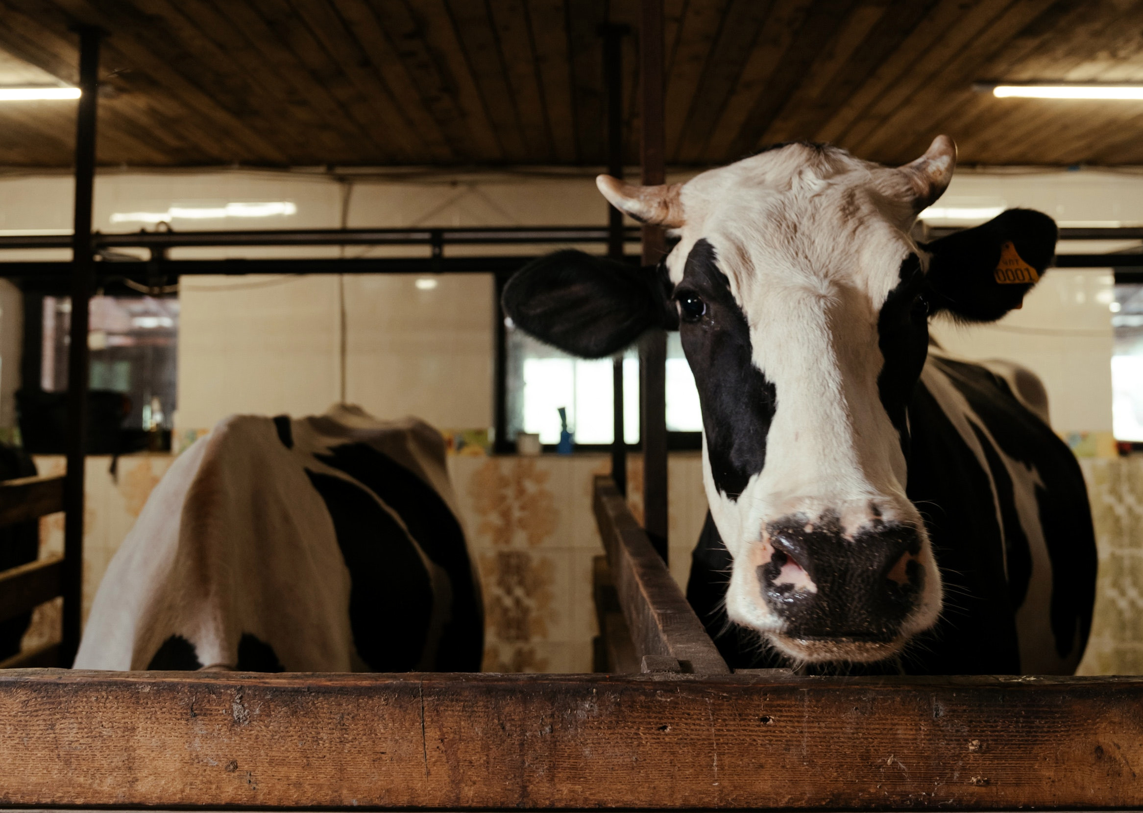 Vermont Family Farm Raises a Crop of Energy and Teaches Us a Lesson