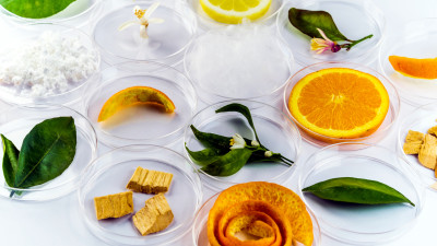 Trending: Could Food Waste Be the Future of Fashion?