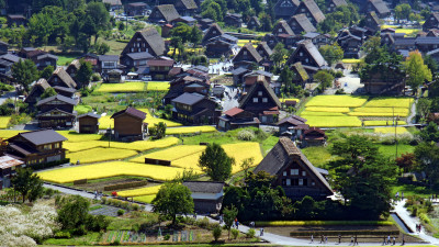 Why Shirakawa Village Is Considered One of the World’s ‘Top 100 Sustainable Destinations’