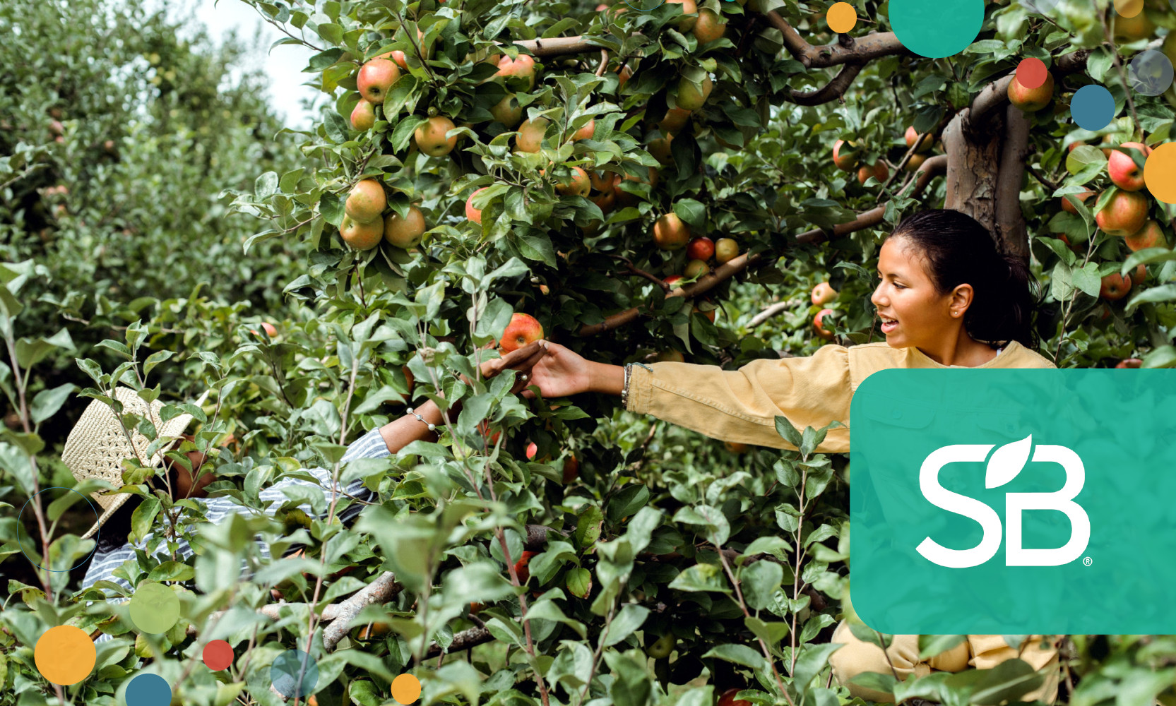 KDP Expands Commitments to Do Good in 2021 and Beyond Sustainable KDP Expands Commitments to Do Good in 2021 and Beyond Sustainable