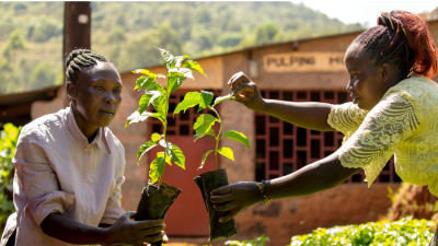 1.8M Fairtrade Farmers to World Leaders: 'Keep Your Climate Promises'