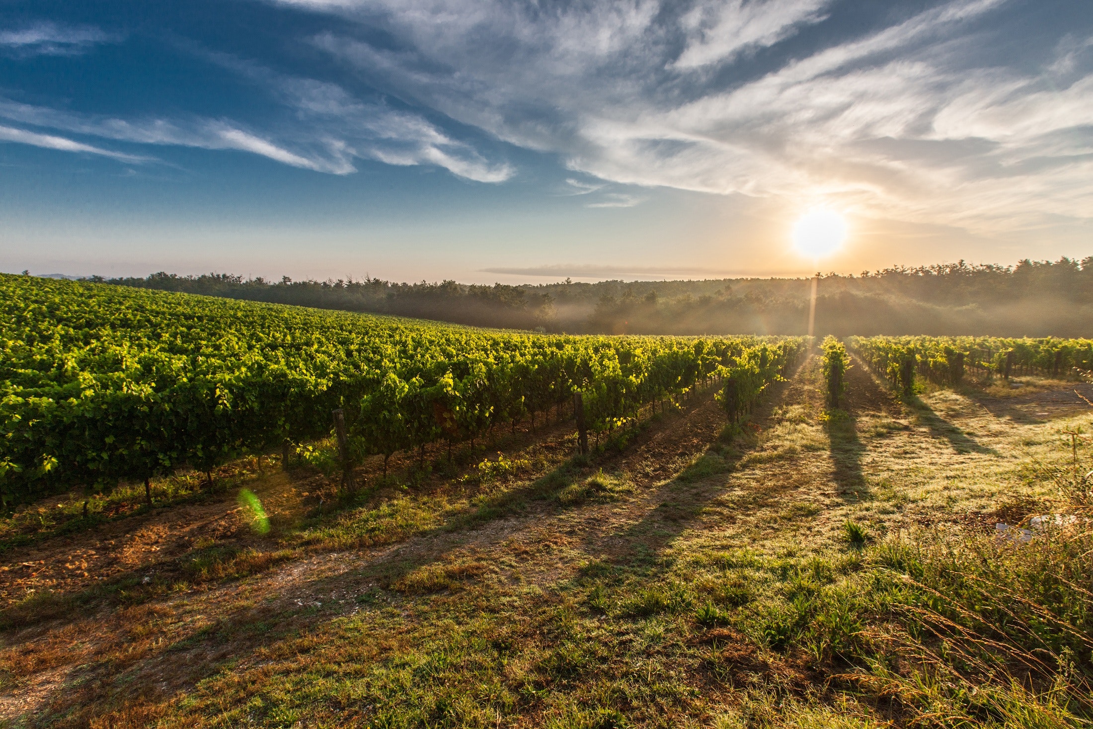 Food Tank Joins the Farm Powered Strategic Alliance